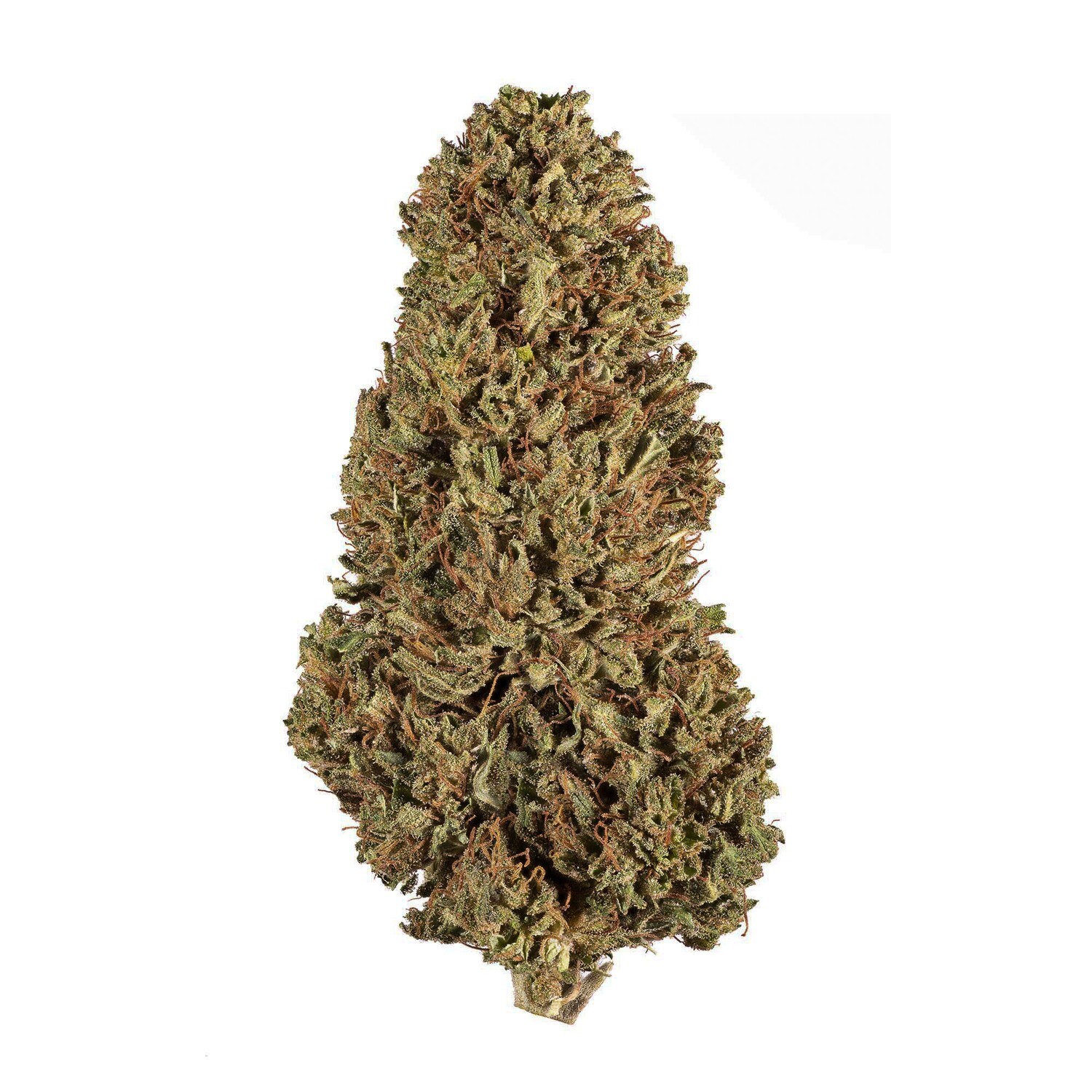 Hawaiian Haze Hemp Flower