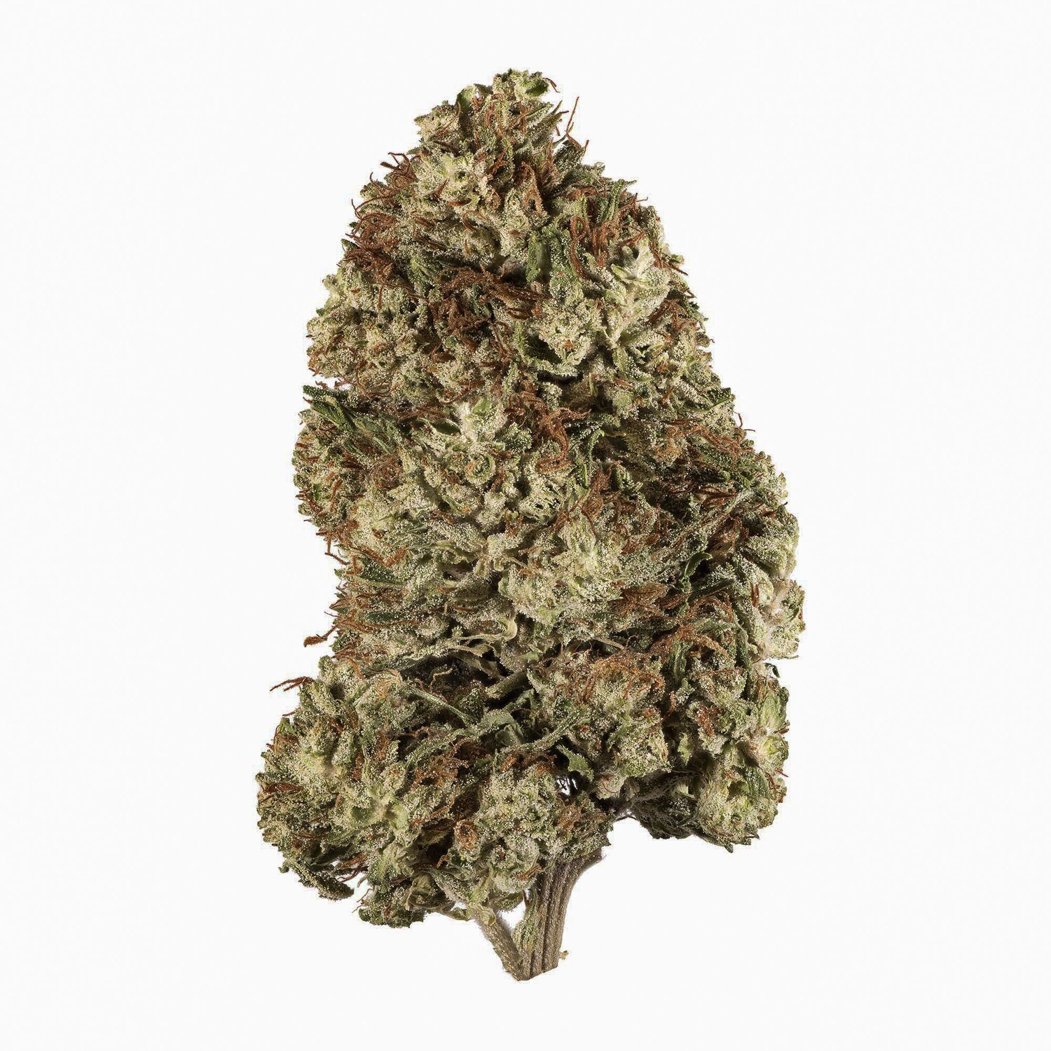 CBG White Hemp Flower