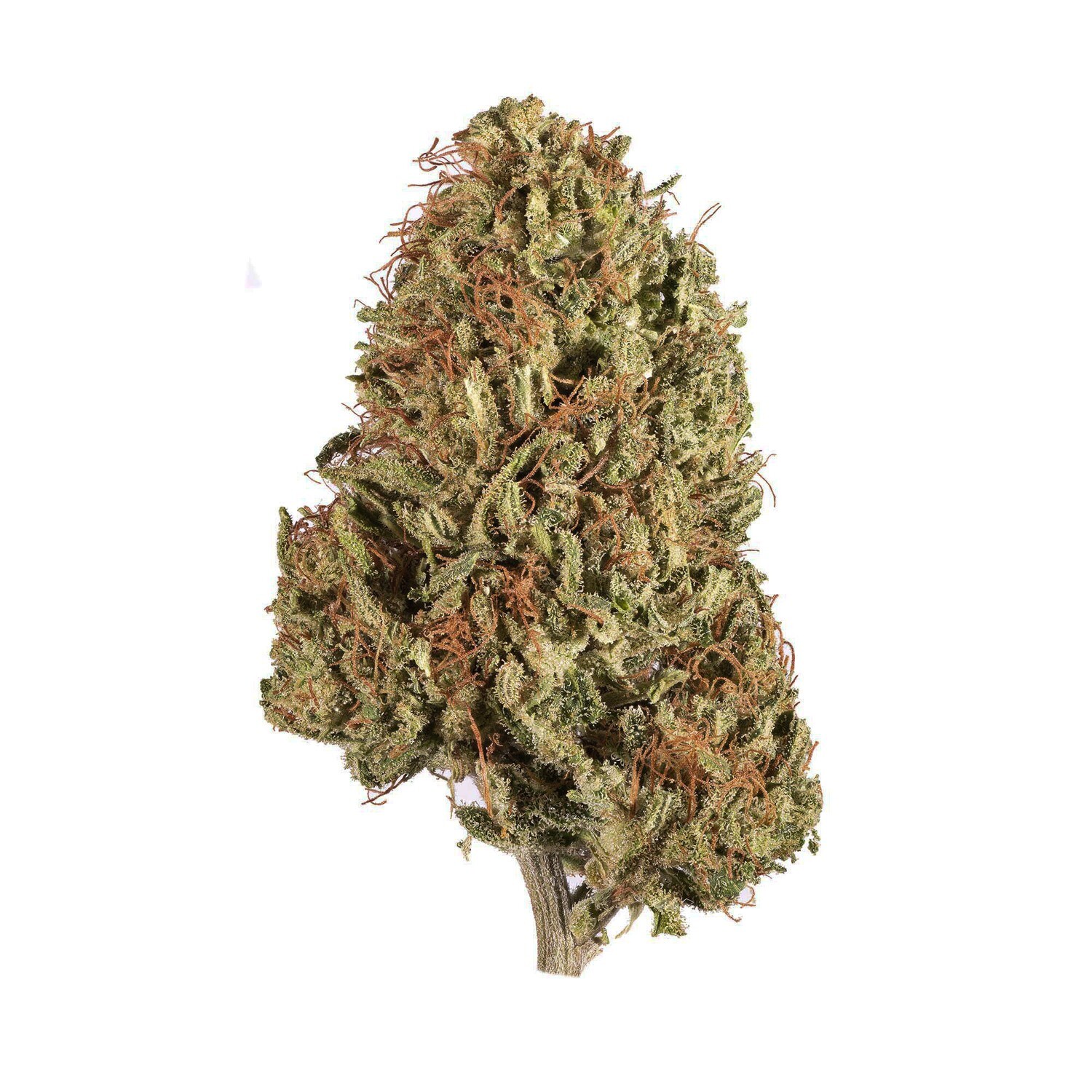 Sour Hawaiian Haze Hemp Flower