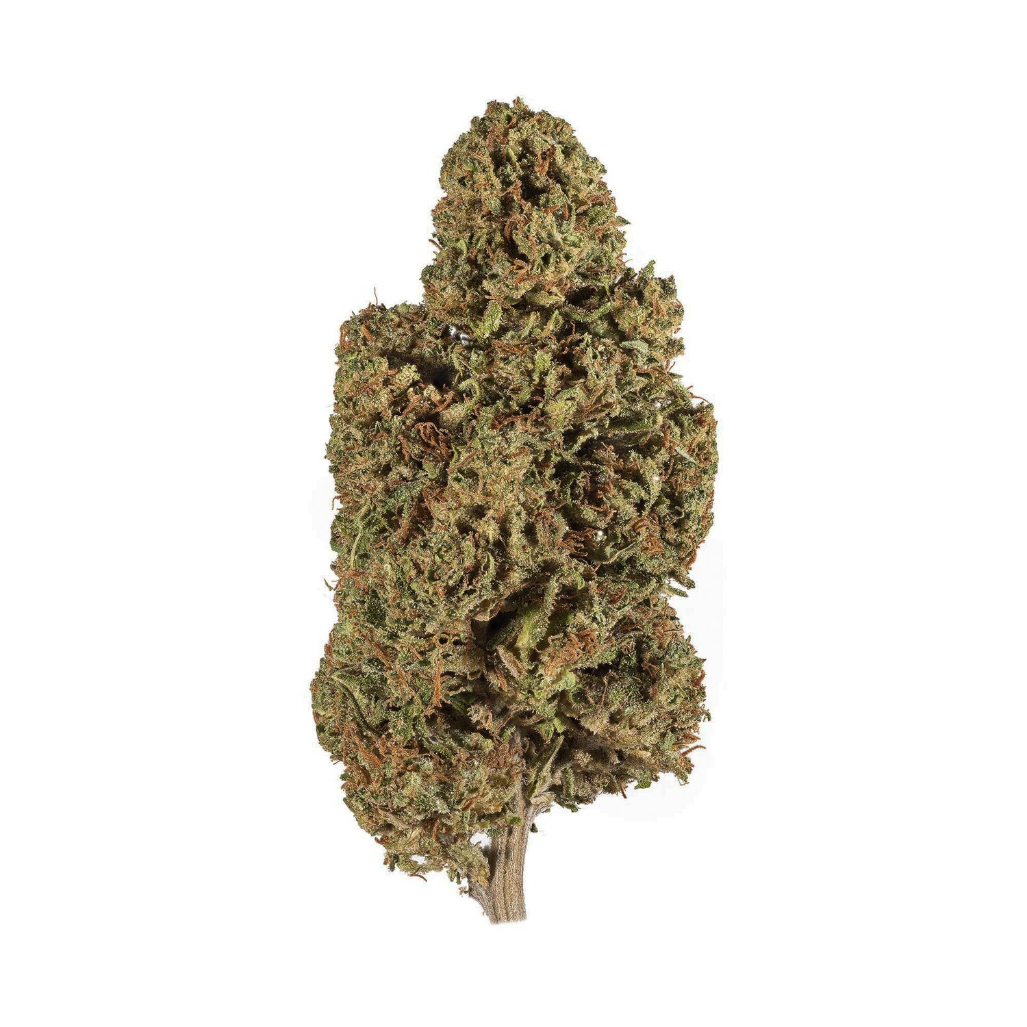 Suver Haze Hemp Flower