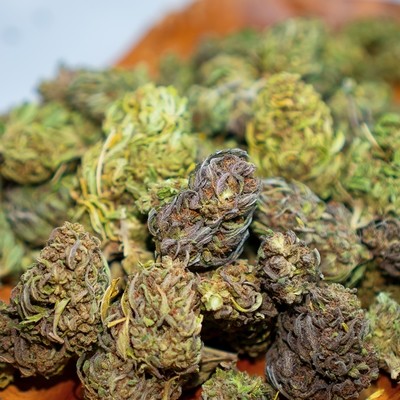 2019 Lifter Hemp Flower - Quick Dried 2019 Lifter Hemp Flower - Quick Dried