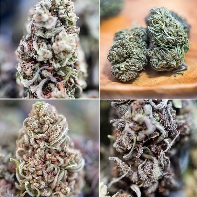 Multiple Quick Dried Cultivars -Machine Trimmed (lb) Multiple Quick Dried Cultivars -Machine Trimmed (lb)