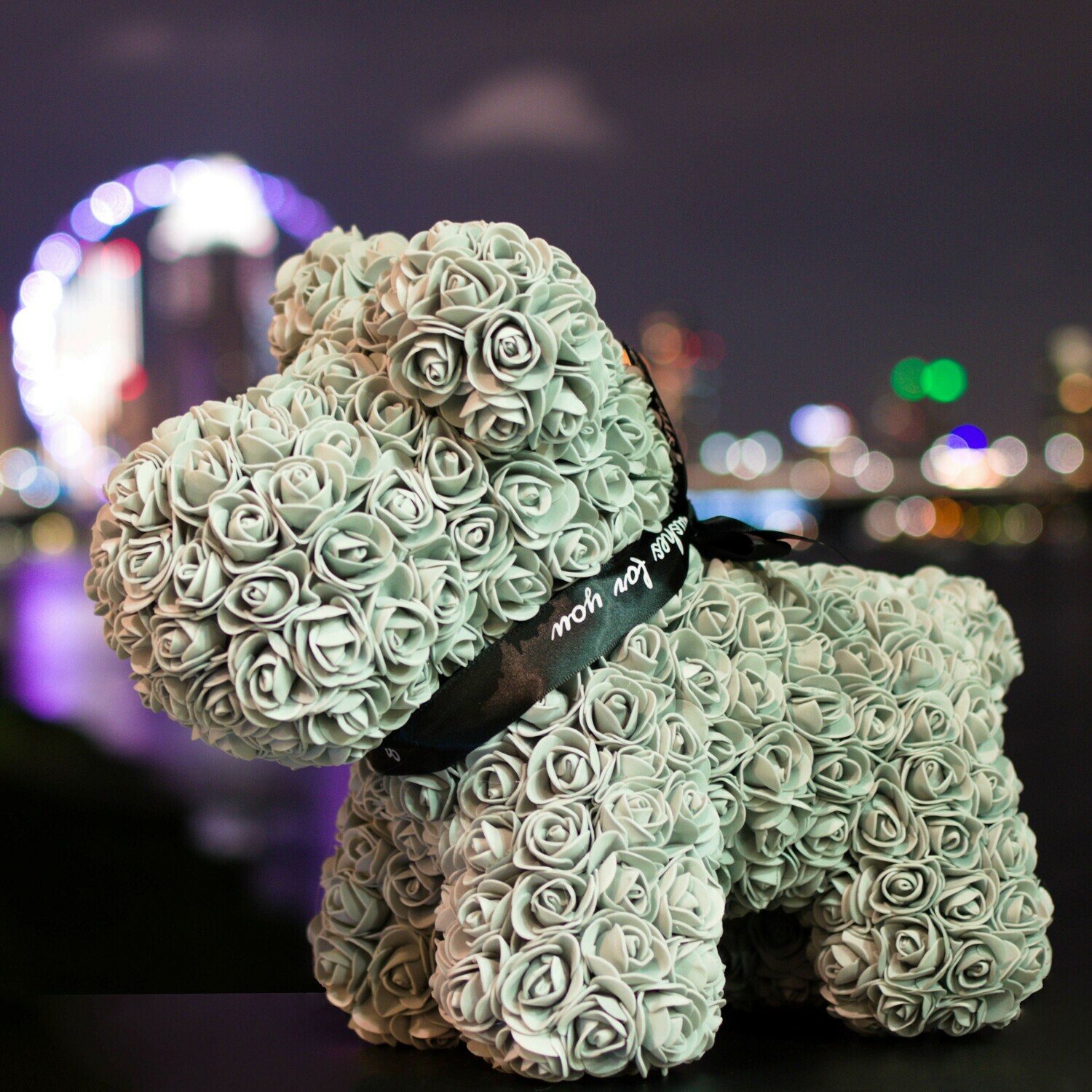 Mysterious Ashen Puppy