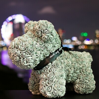 Mysterious Ashen Puppy