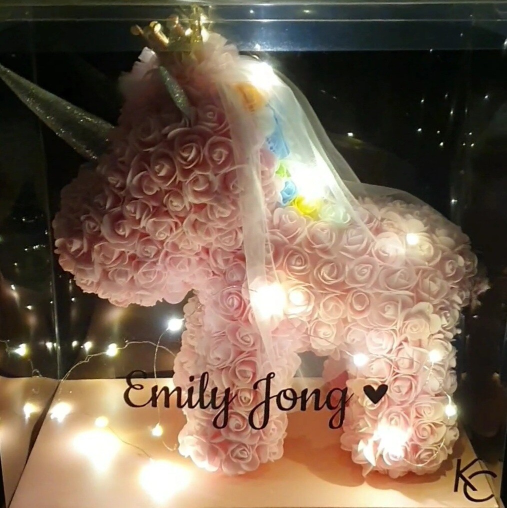 Sweet Pink Princess Unicorn