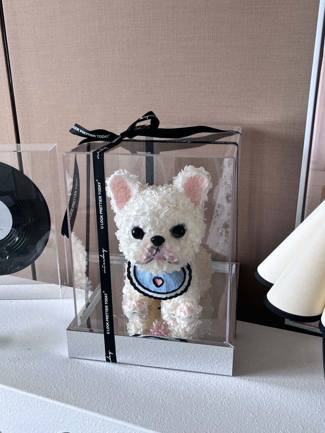 White French Bulldog