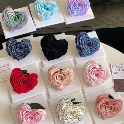 Preserved Rose Heart (Pink &amp; White)