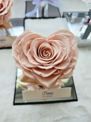 Cappuccino Rose Heart (NEW)