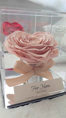 Cappuccino Rose Heart (NEW)