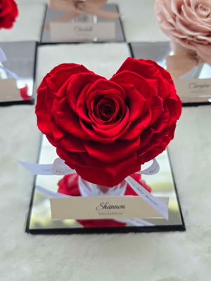Red Rose Heart