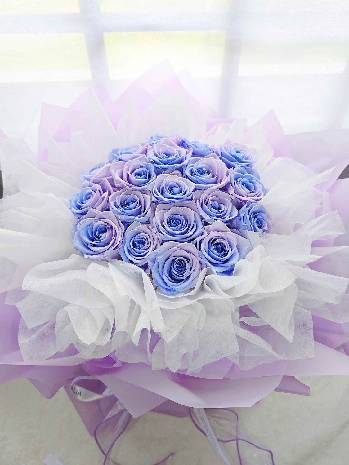 Luna Whisper (Preserved)