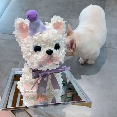 Birthday Bulldog
