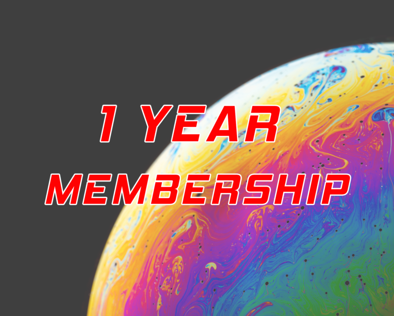 DIGITHAIZ - 1 YEAR MEMBERSHIP
