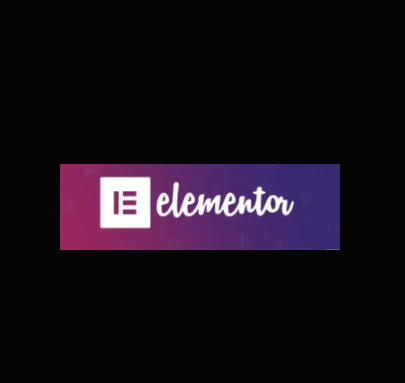 ELEMENTOR PRO 1 Year - Supported Plugin - Members only