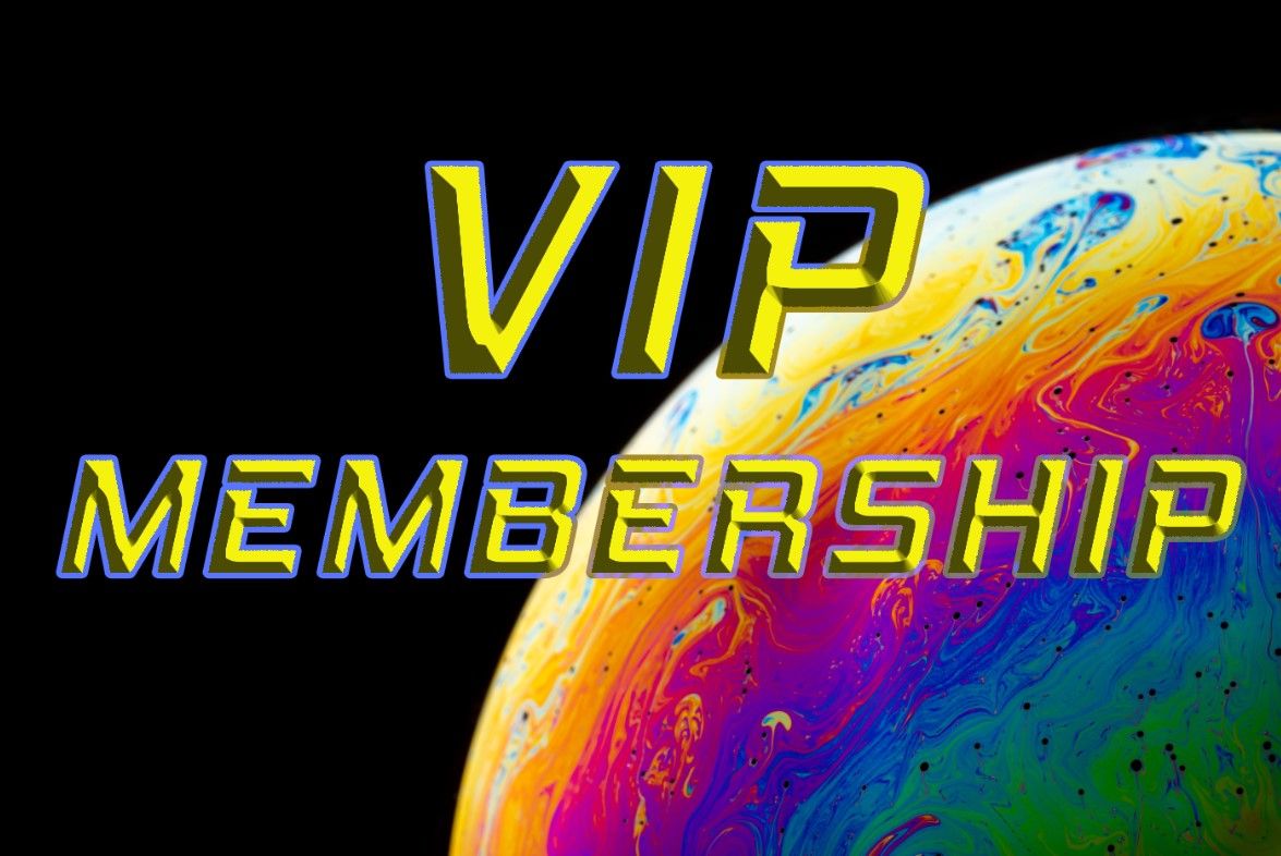 DIGITHAIZ - VIP LIFETIME MEMBERSHIP