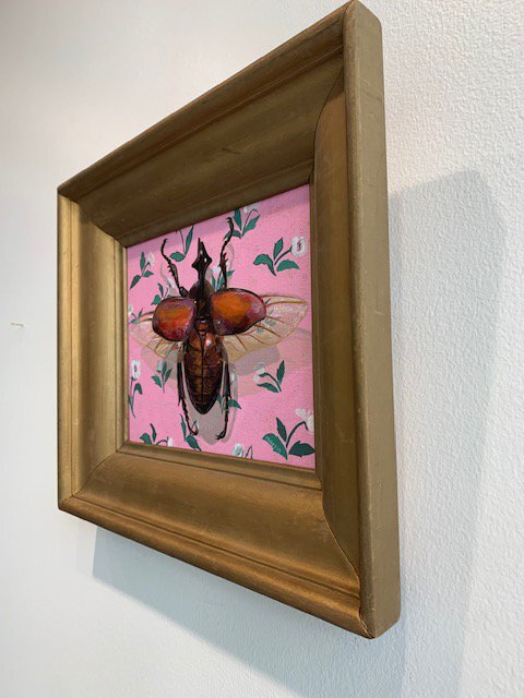 Untitled (Open on Pink)