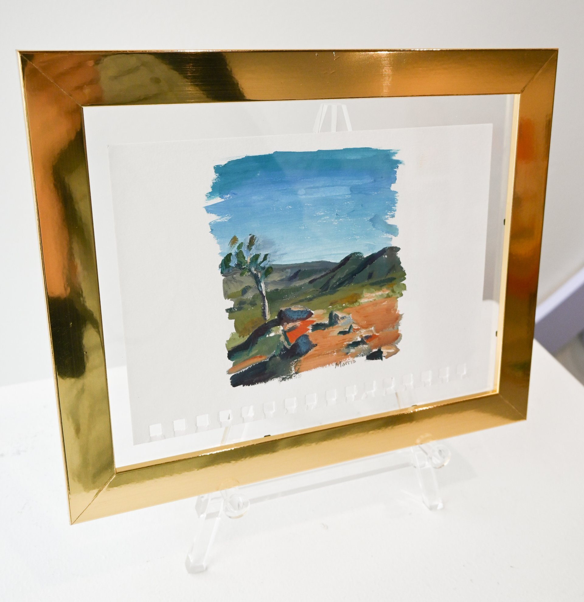 Colorado Study of Tree with Rocks