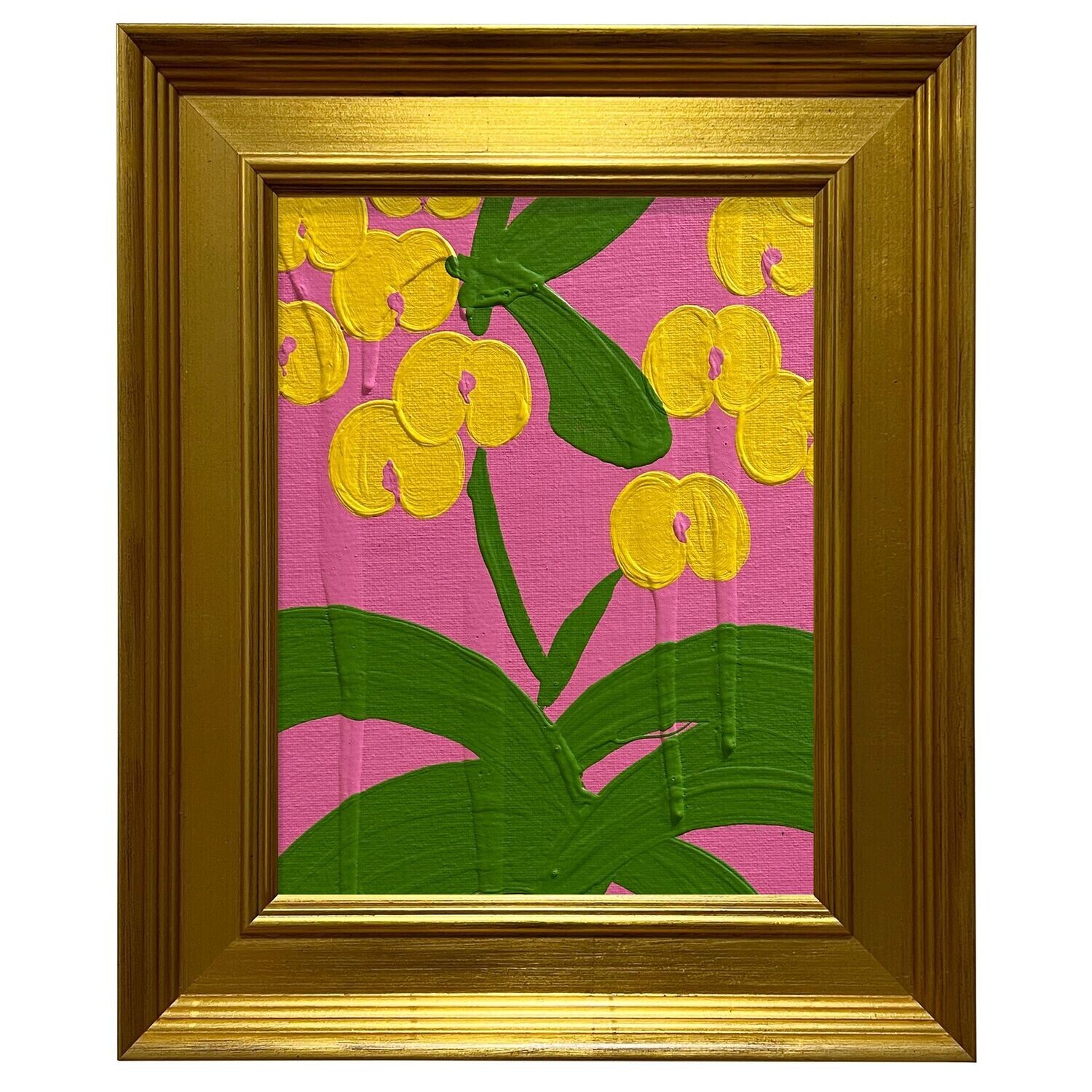 Mini Haichi - Orchid Pink Yellow Kelly