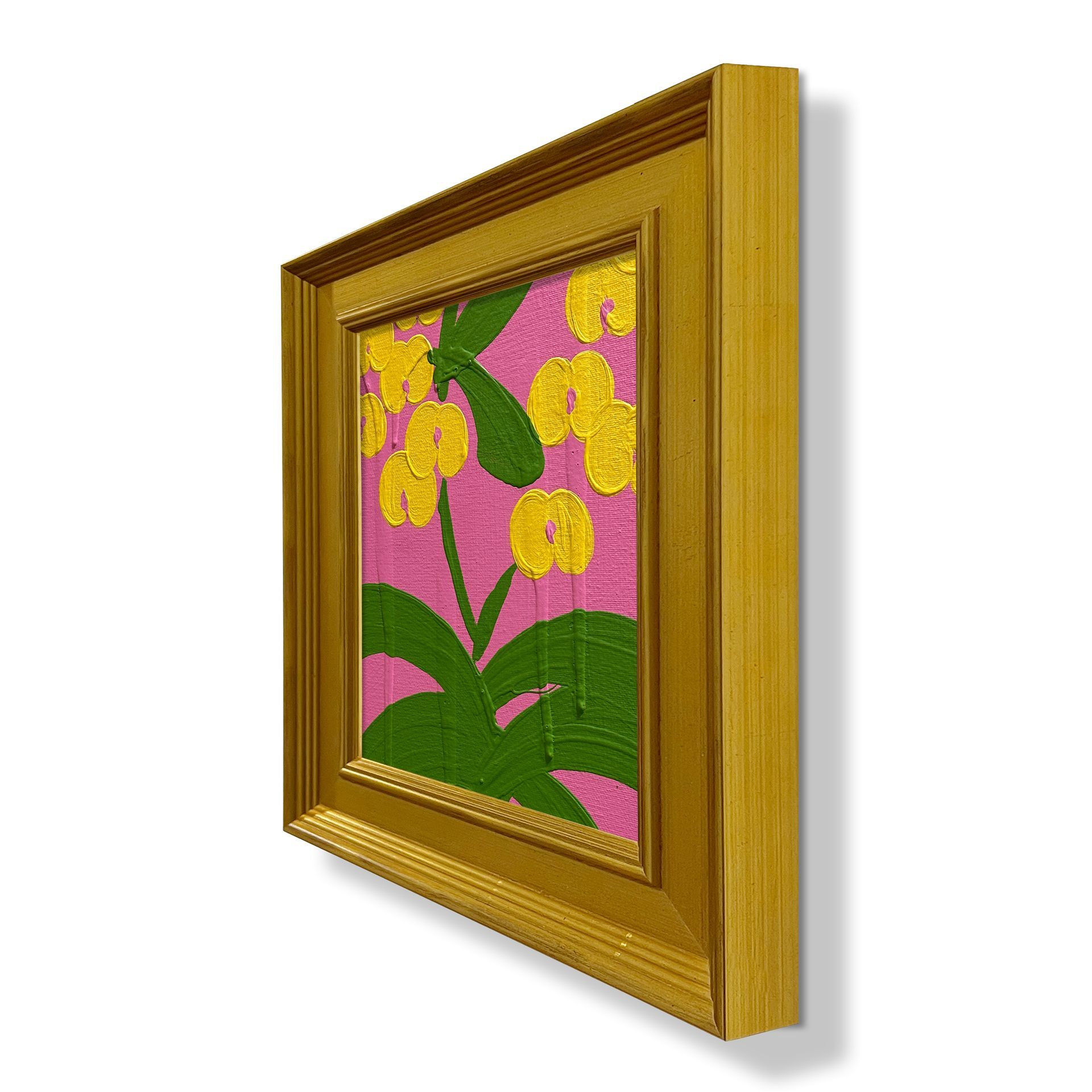 Mini Haichi - Orchid Pink Yellow Kelly