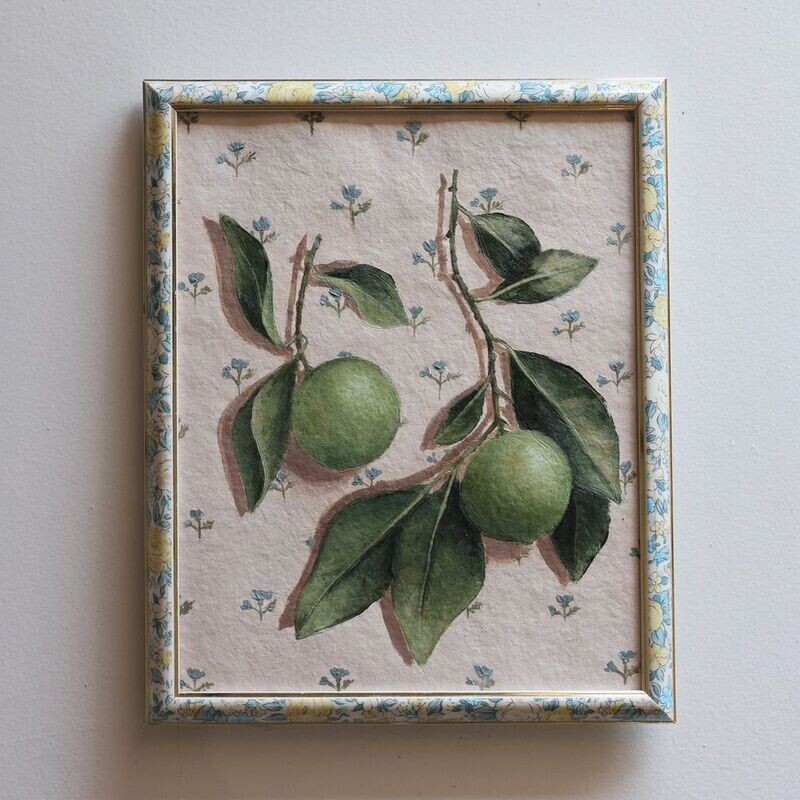 Limes in Floral