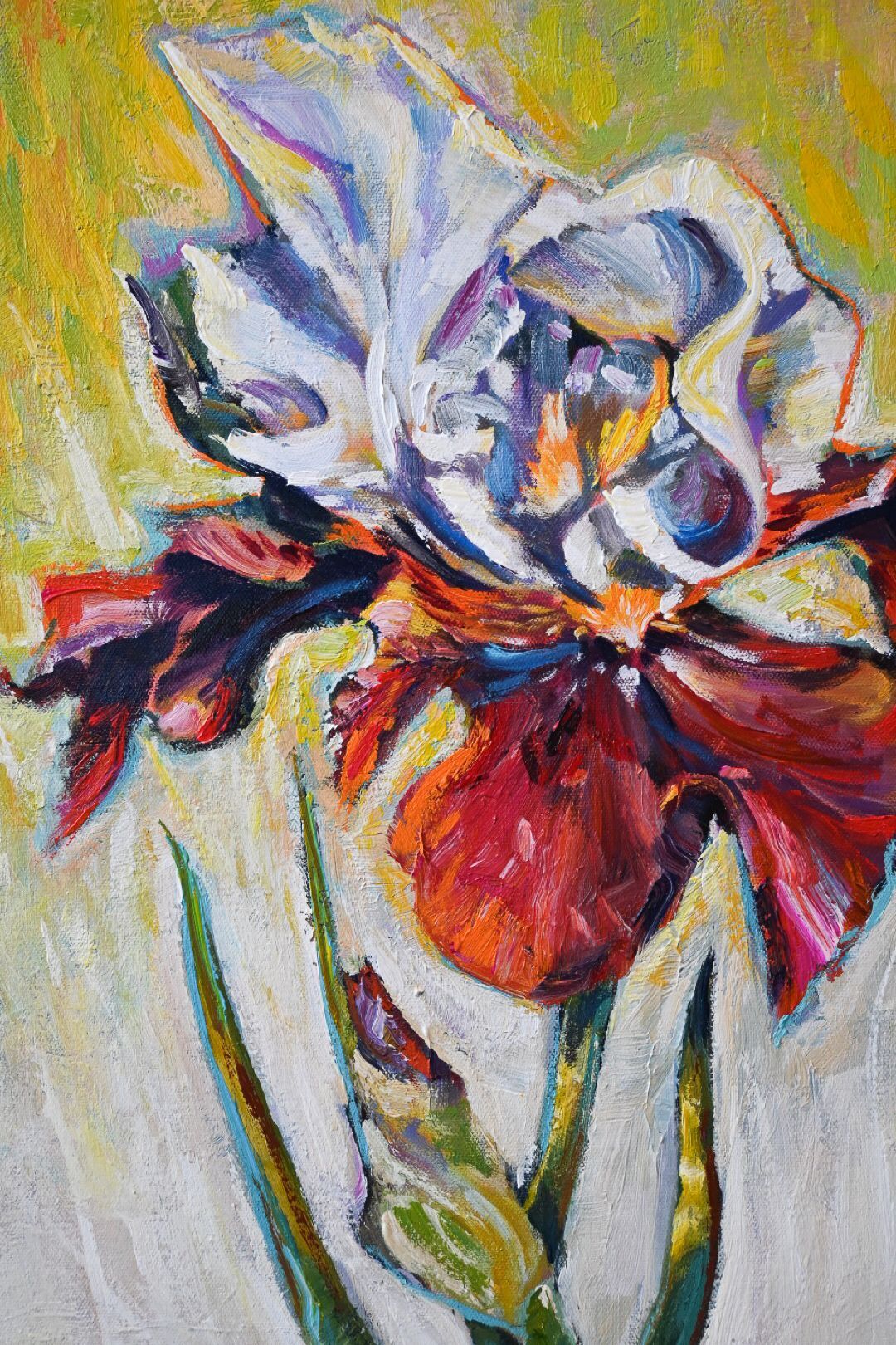 Jazz Festival Iris
