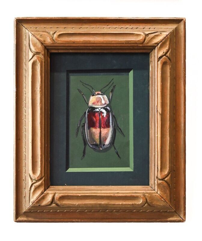 Beetle on Green Panel