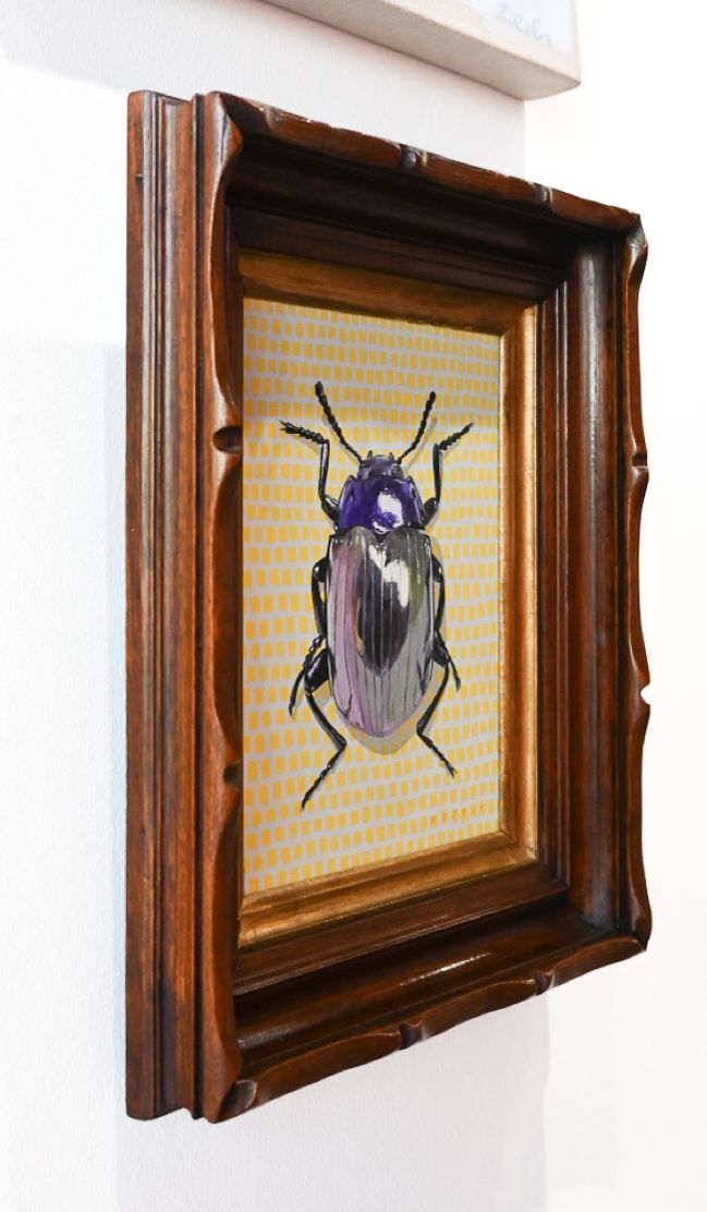 Beetle on Yellow Squares