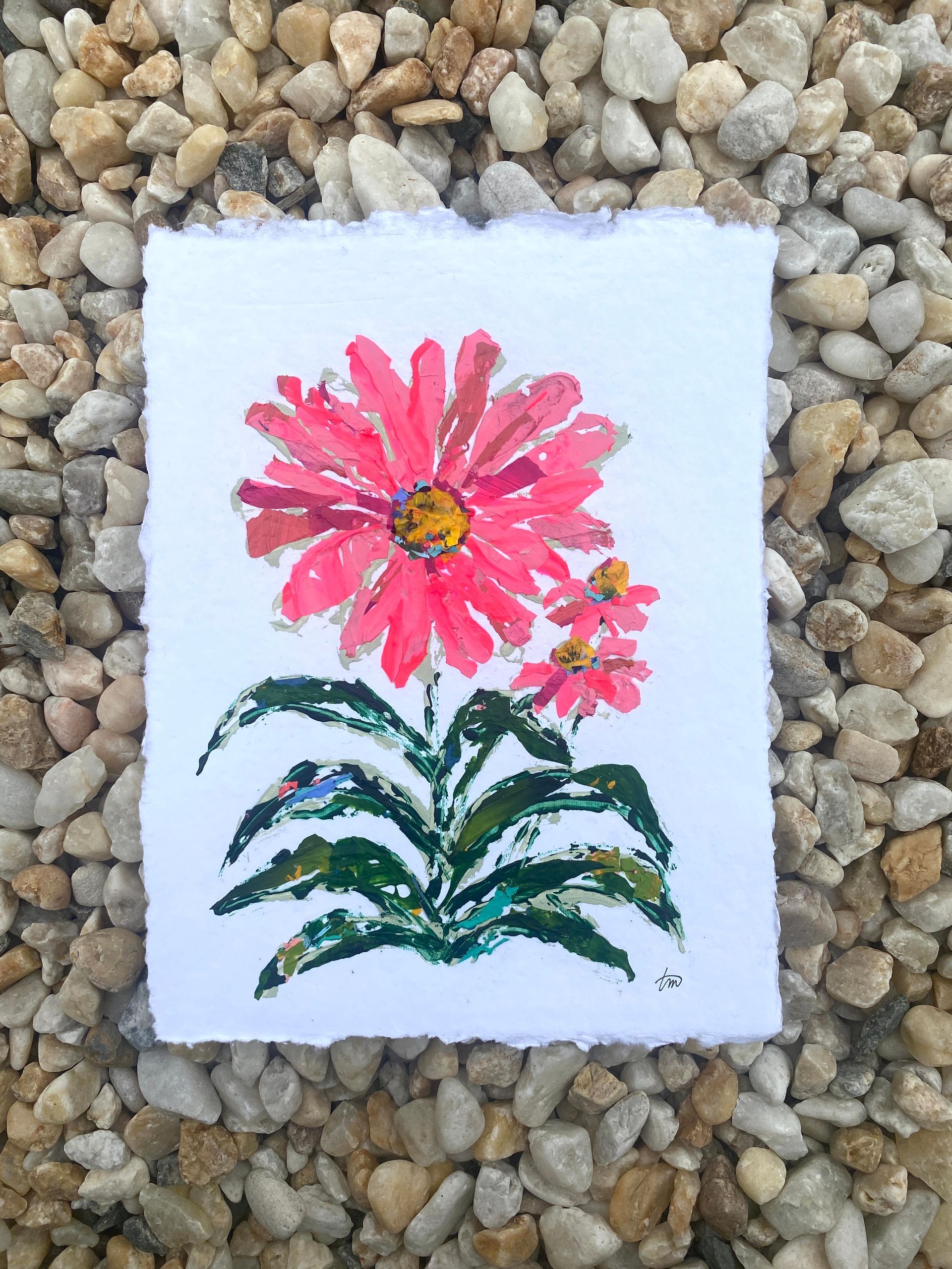 Blooming Girls & Coneflower Friends