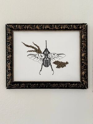 Western Hercules Beetle Dynastes Grantii