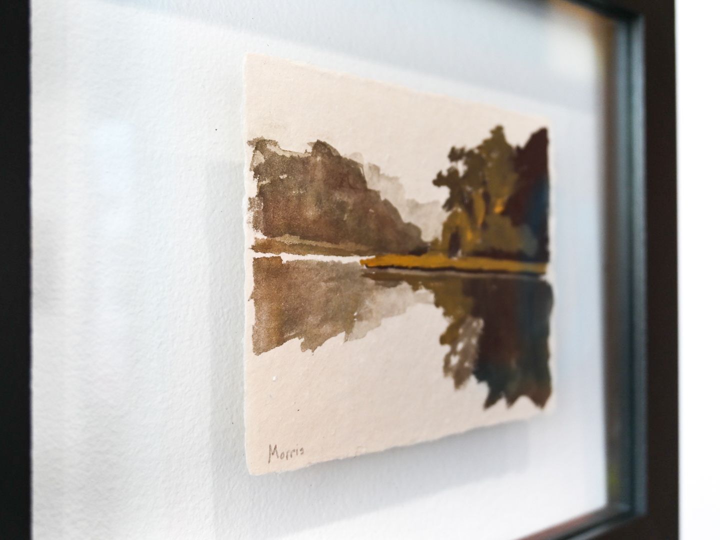 Morning in the Amazon