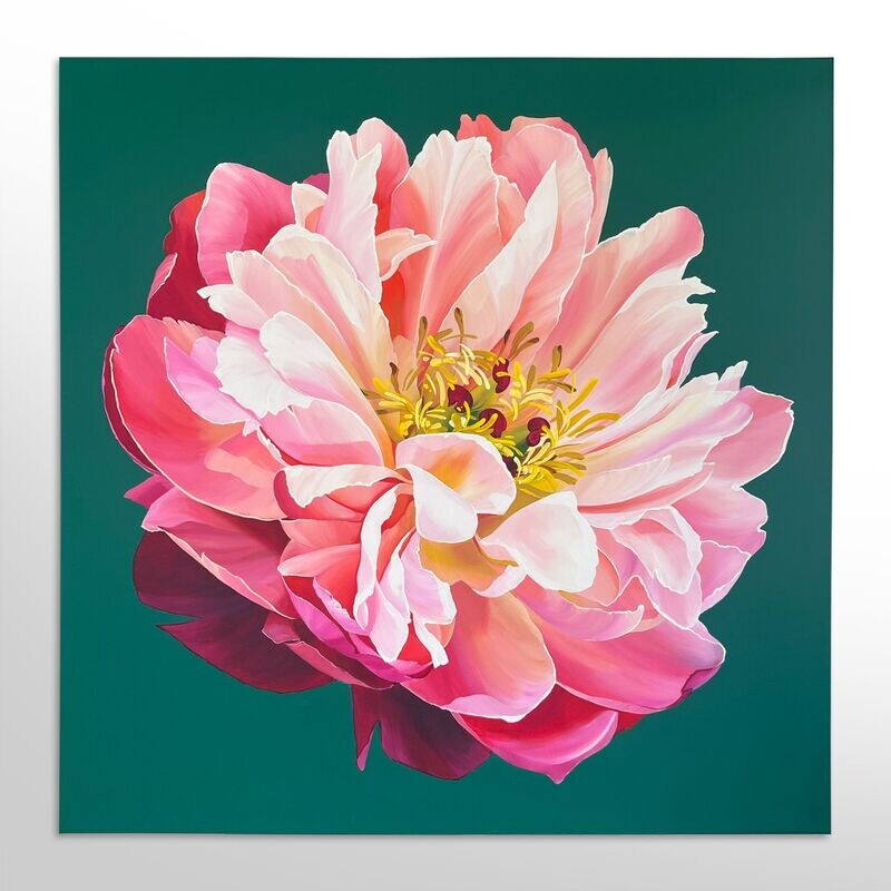 Hawaiian Peony