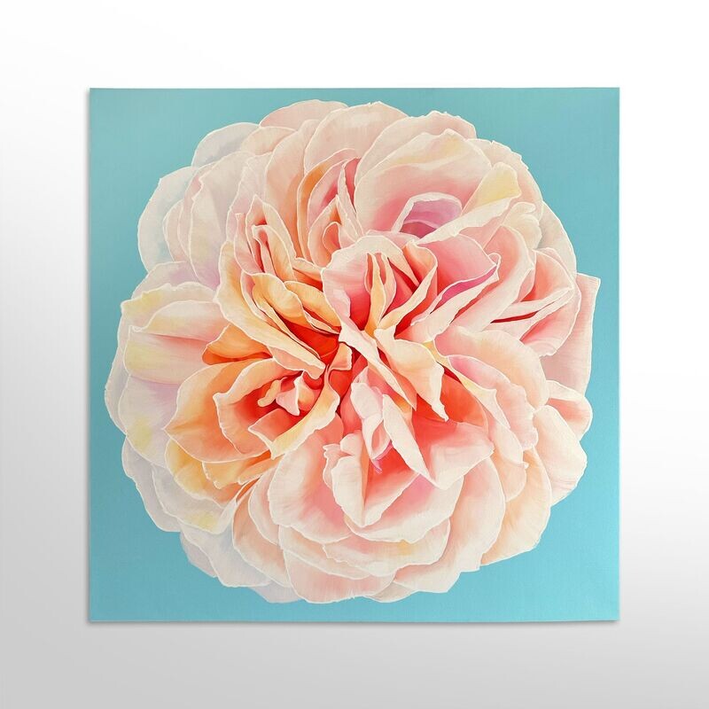 Apricot