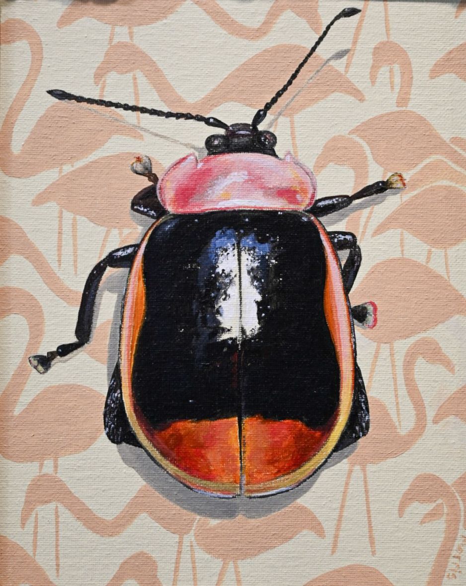 Beetle on Flamingos