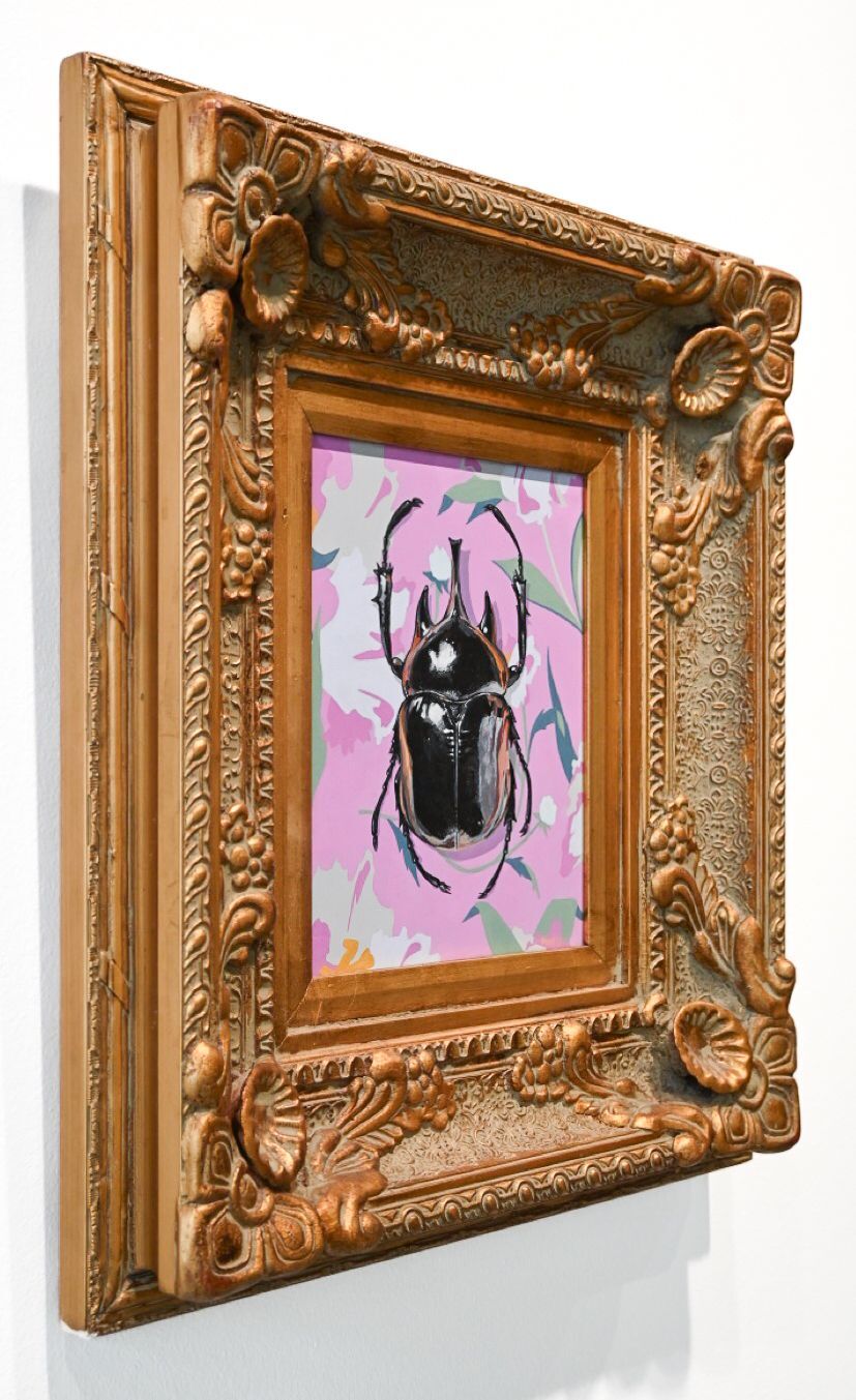 Rhino Beetle on Pink Floral