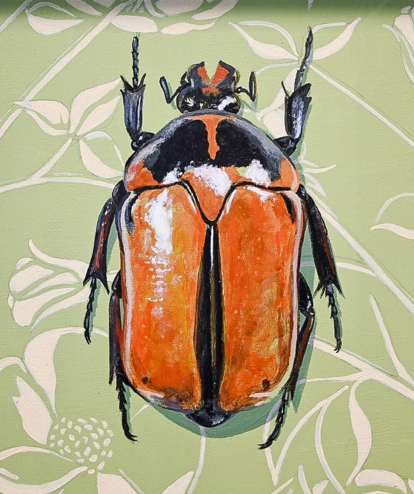 Brown Beetle on Green Floral