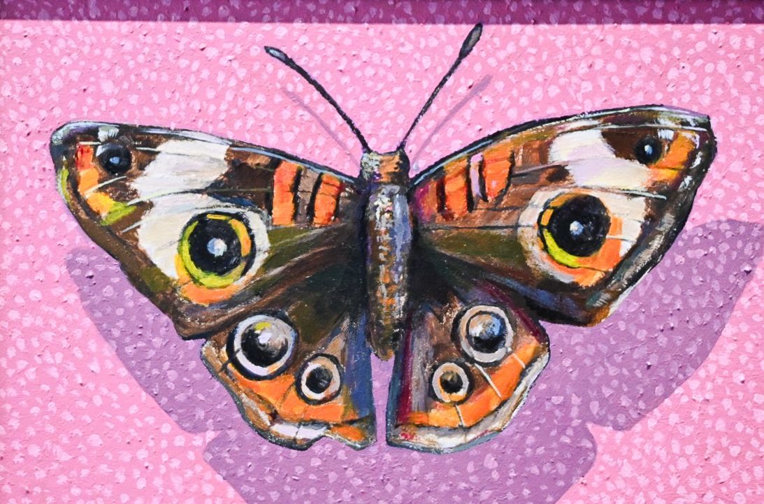 Orange Moth on Pink
