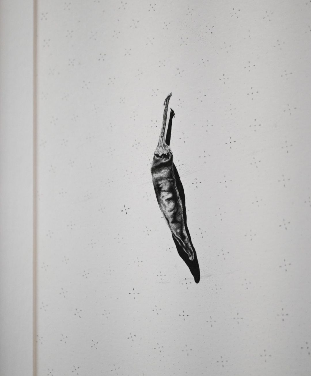 Desiccated Cayenne Pepper