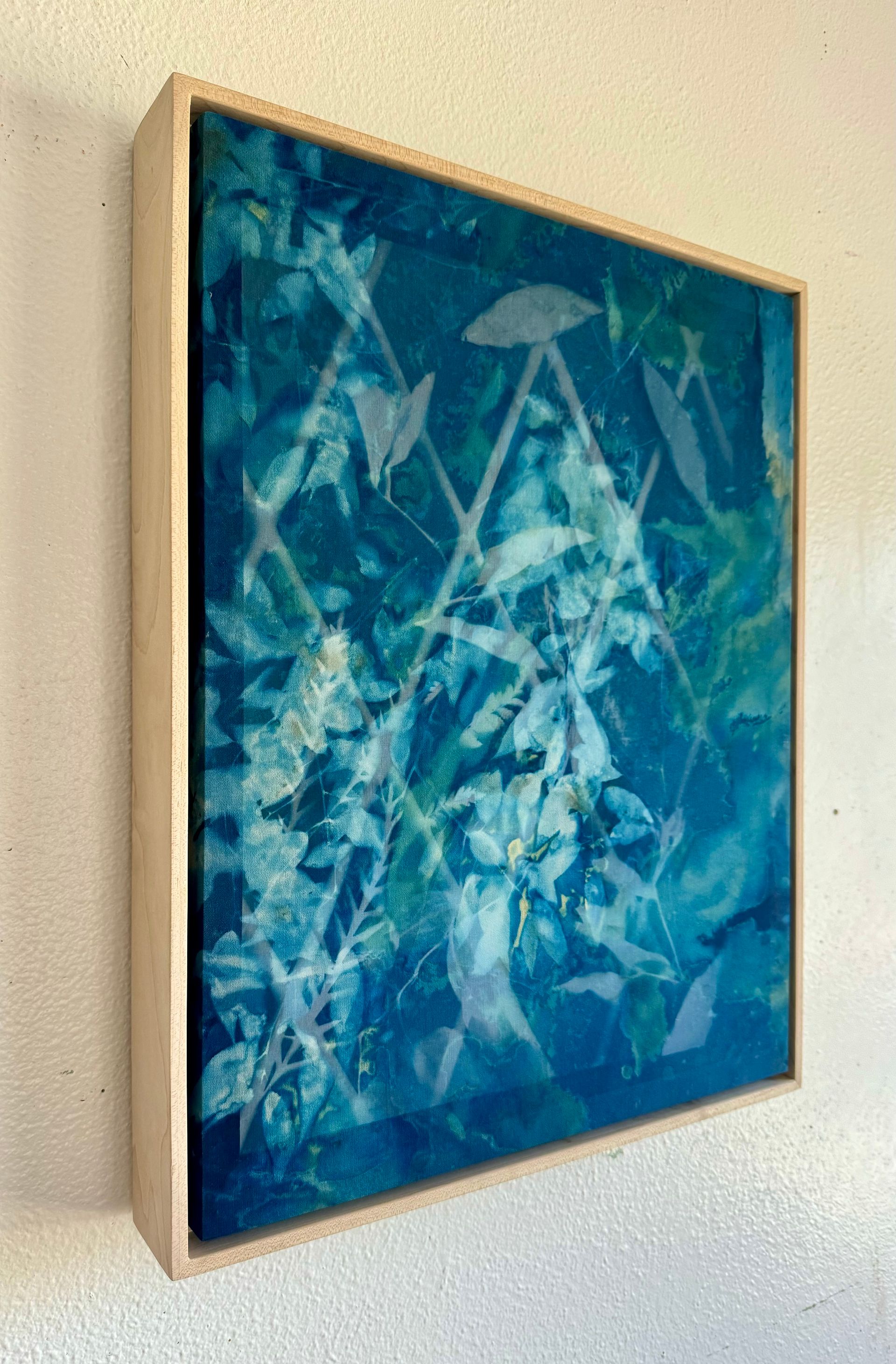 Where the trees are filled with memories