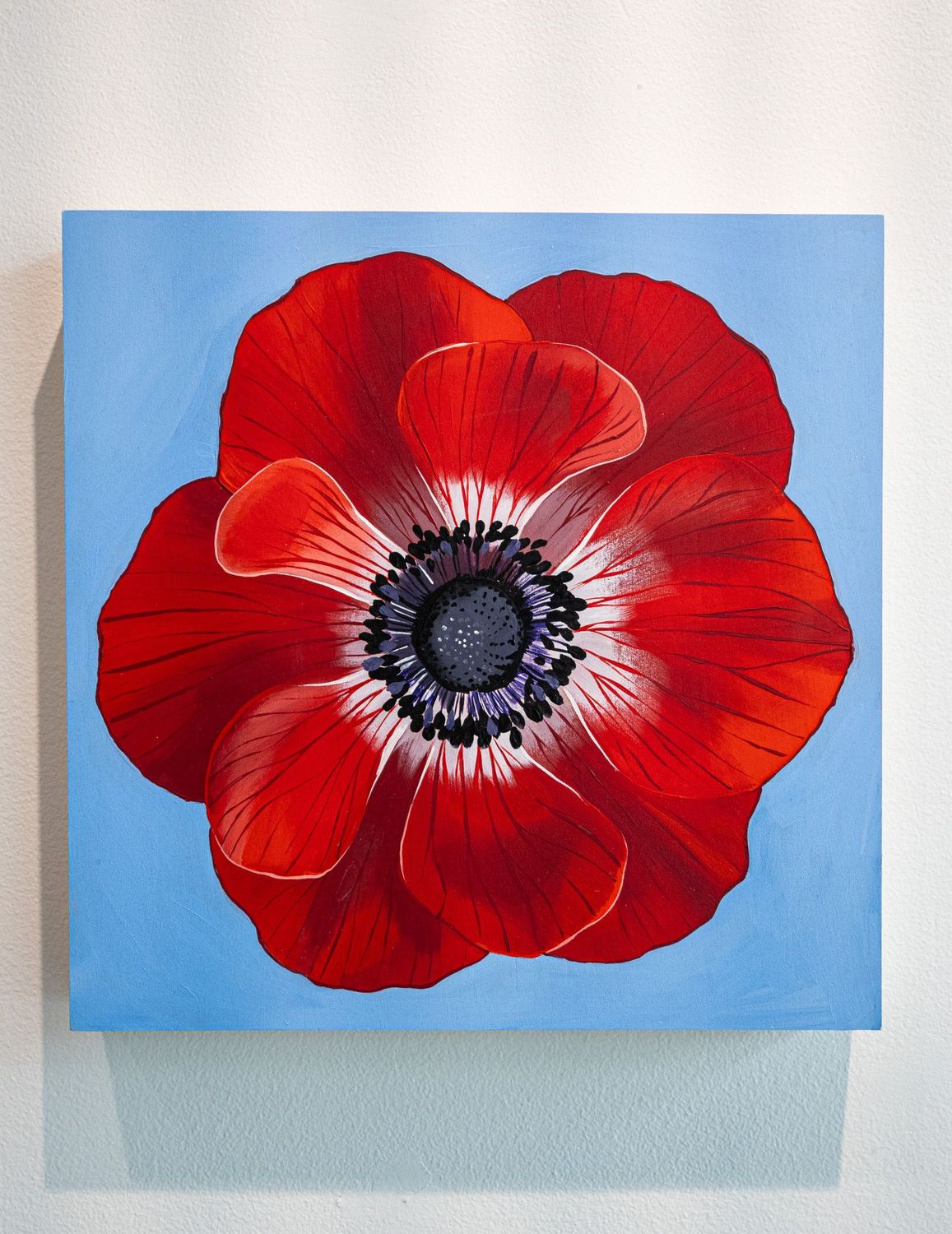 Red & Blue Poppy
