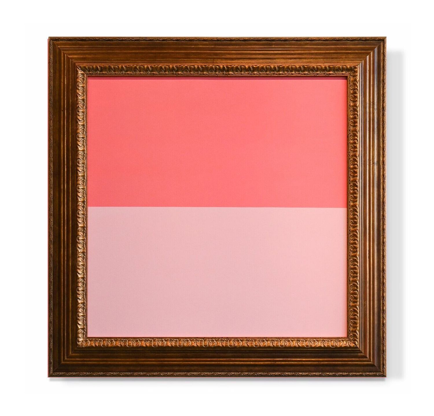 Rose Colored Glasses