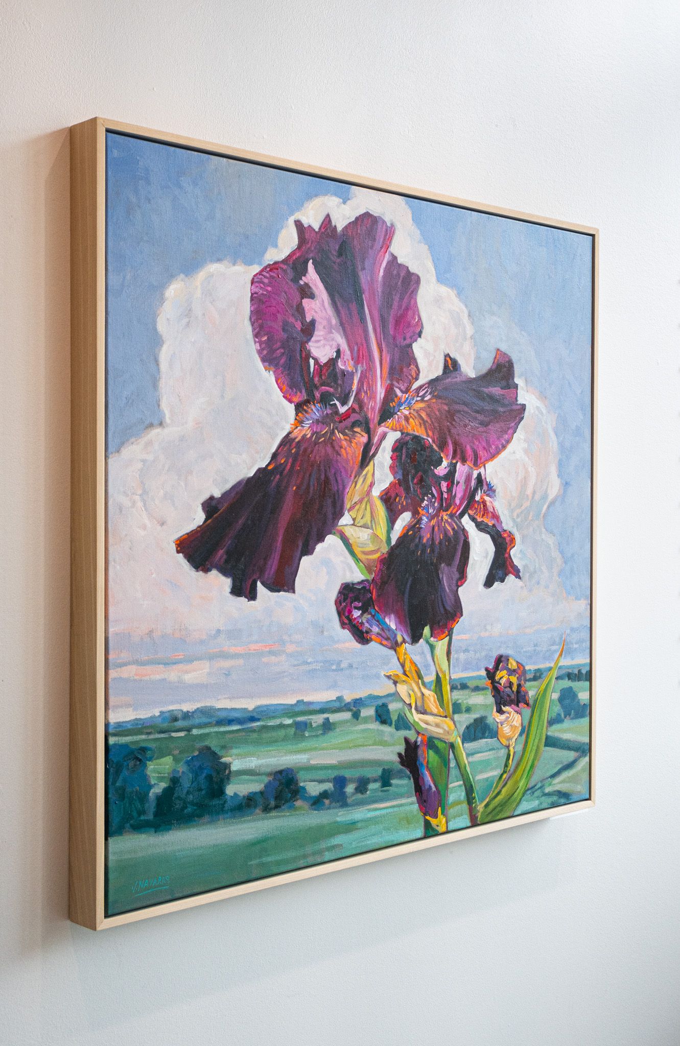 Iris