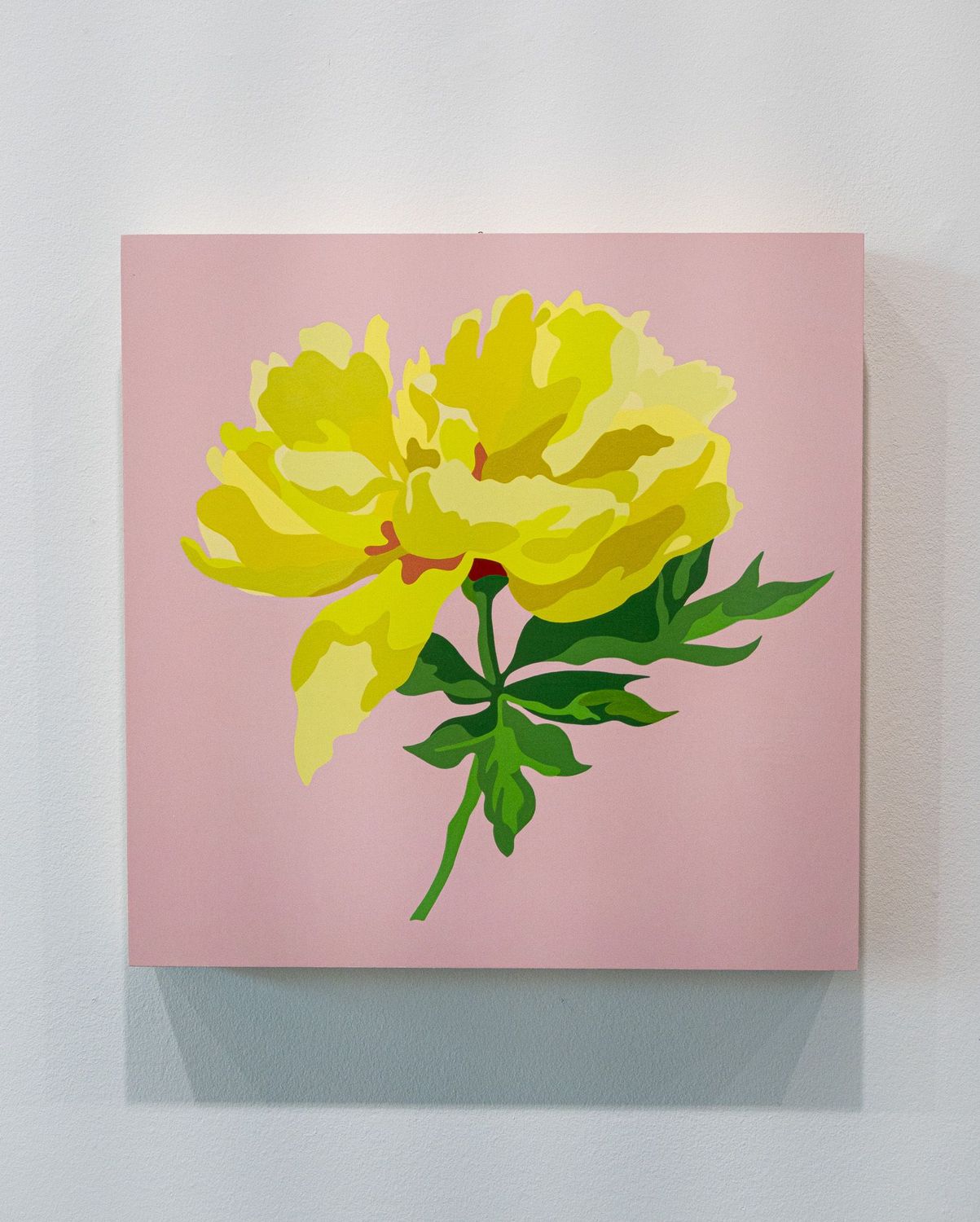 Peony no. 1