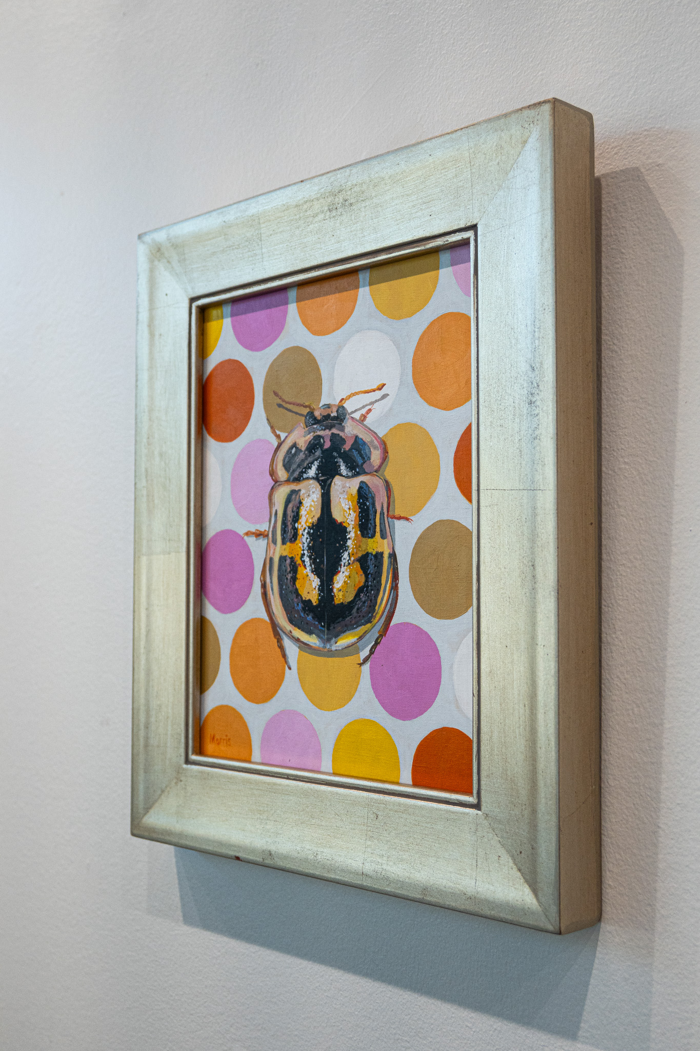 Fourteen Spotted Lady Beetle