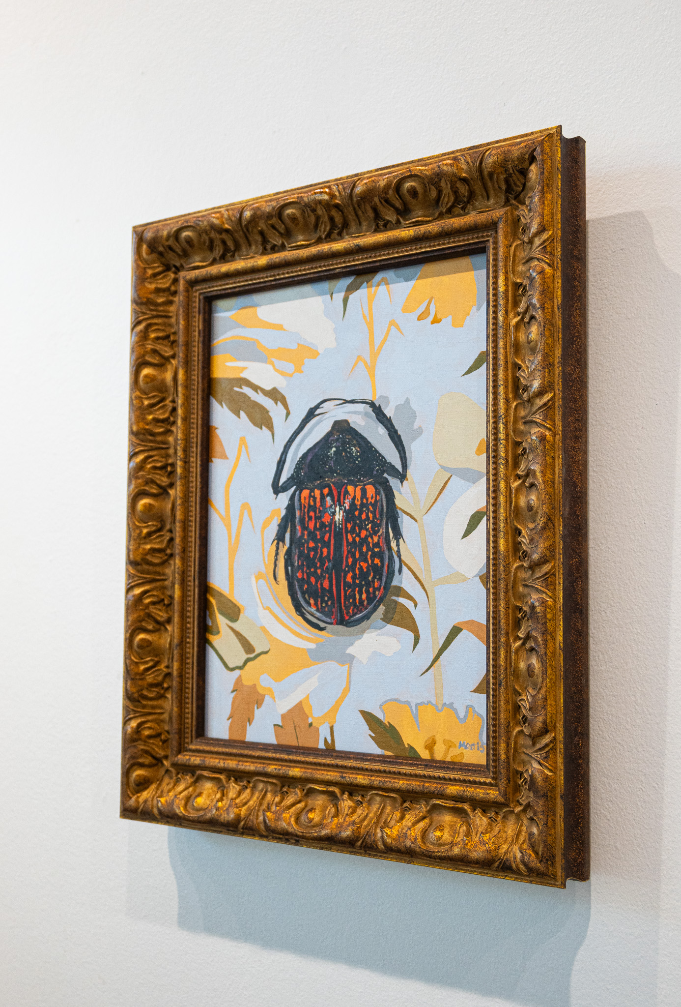 Cheirotonus Peracanus on floral