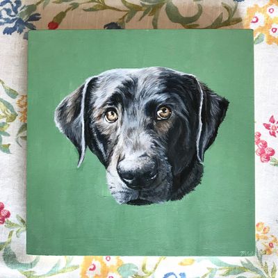 Custom pet portrait