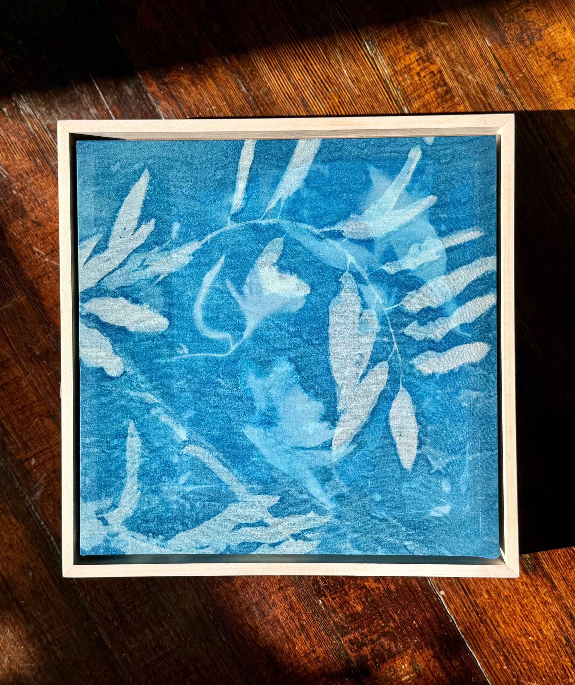 Invitation to Wonder V