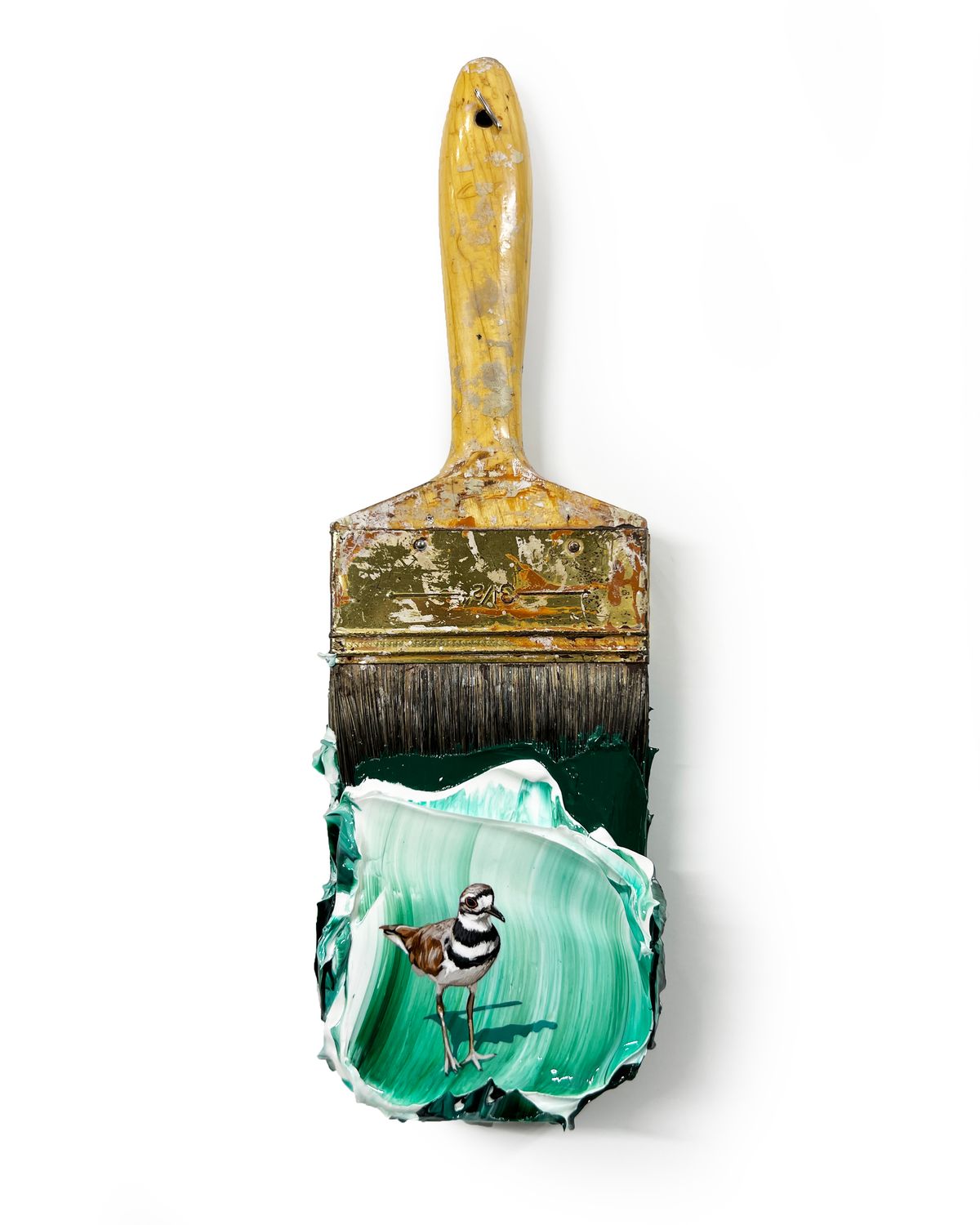 Ringed Plover Brush