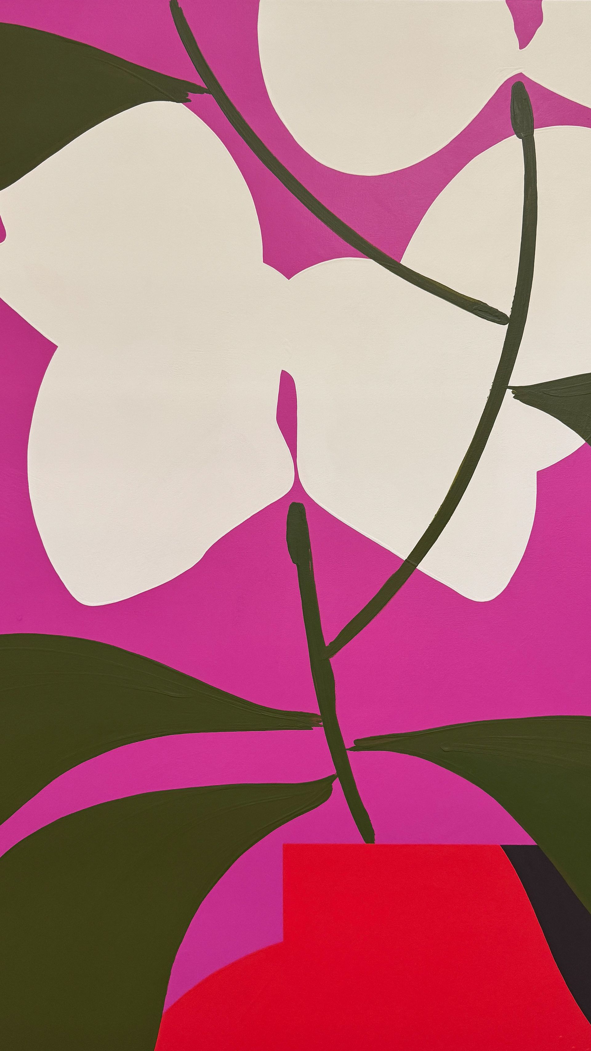 OKI ORCHID STILL LIFE