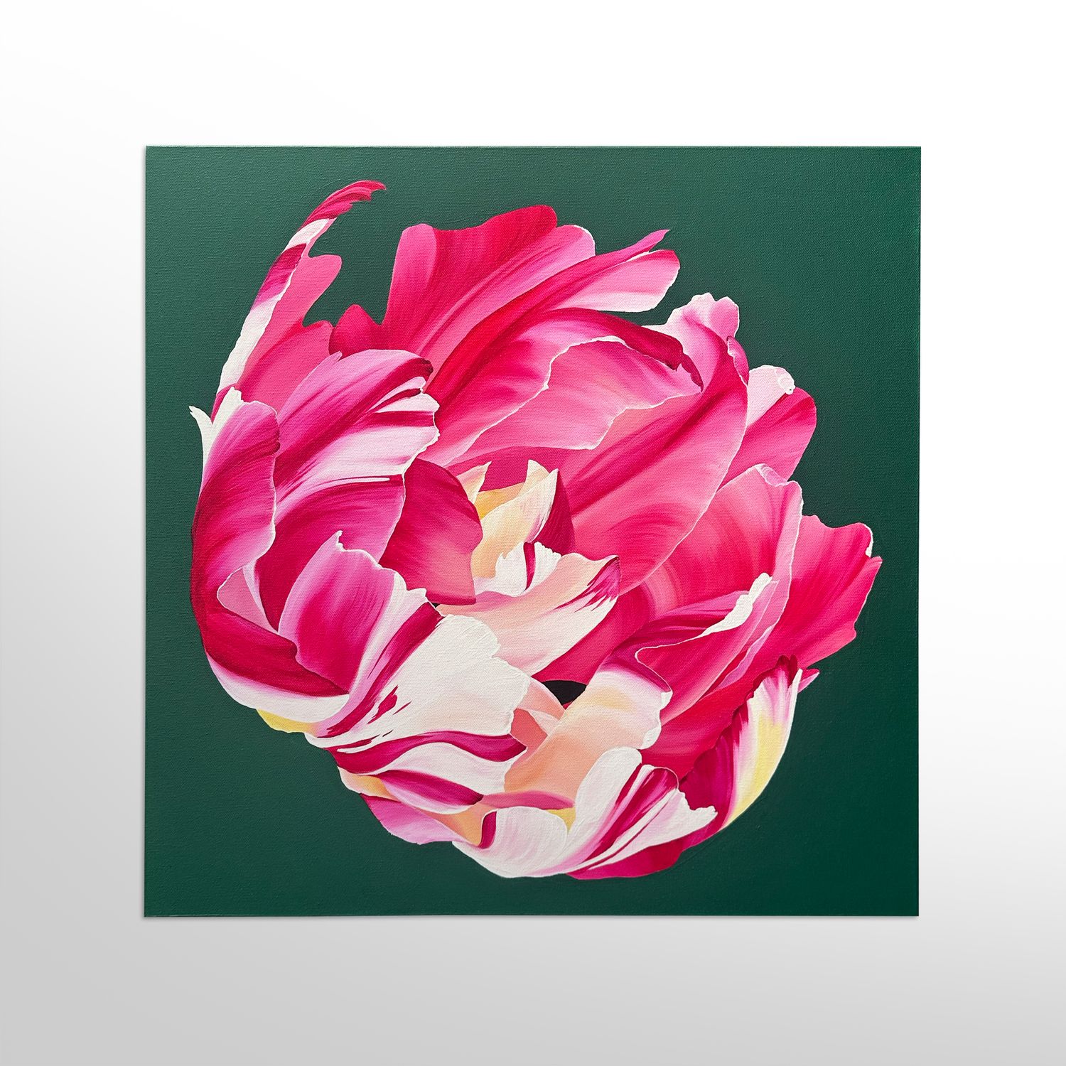 Striped Tulip