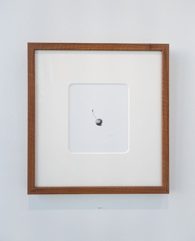 Delicate Triptych, Cherry 3